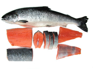 Makanan Tinggi Protein Dari laut