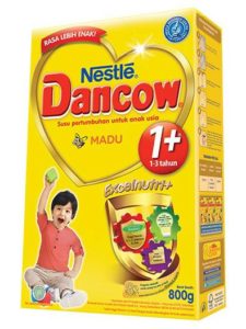 bakteri lactobacillus